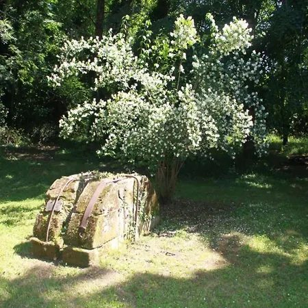 Beautiful In The Dordogne *